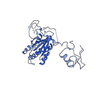4970_6ro4_D_v1-1
Structure of the core TFIIH-XPA-DNA complex