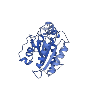 4970_6ro4_E_v1-1
Structure of the core TFIIH-XPA-DNA complex