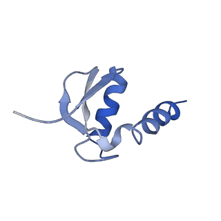 4970_6ro4_F_v1-1
Structure of the core TFIIH-XPA-DNA complex