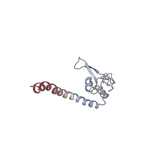 4970_6ro4_G_v1-1
Structure of the core TFIIH-XPA-DNA complex