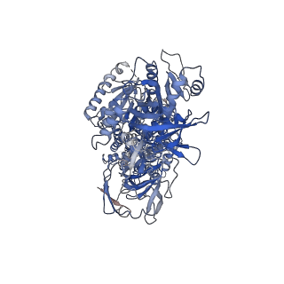 4972_6roh_A_v1-3
Cryo-EM structure of the autoinhibited Drs2p-Cdc50p
