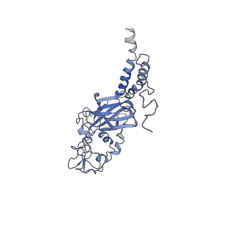 4972_6roh_C_v2-0
Cryo-EM structure of the autoinhibited Drs2p-Cdc50p