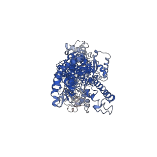 4973_6roi_A_v1-3
Cryo-EM structure of the partially activated Drs2p-Cdc50p