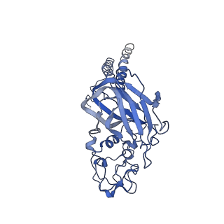 4973_6roi_C_v1-3
Cryo-EM structure of the partially activated Drs2p-Cdc50p