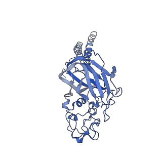 4973_6roi_C_v2-0
Cryo-EM structure of the partially activated Drs2p-Cdc50p