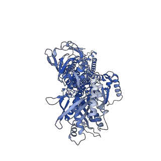 4974_6roj_A_v1-3
Cryo-EM structure of the activated Drs2p-Cdc50p