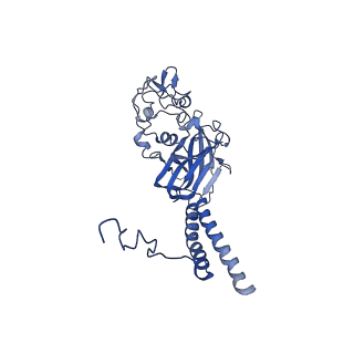 4974_6roj_C_v1-3
Cryo-EM structure of the activated Drs2p-Cdc50p