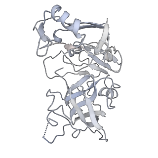 4975_6row_E_v1-1
Haemonchus galactose containing glycoprotein complex