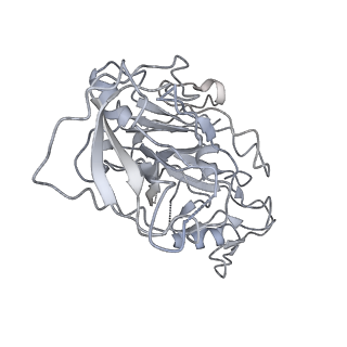 4975_6row_F_v1-1
Haemonchus galactose containing glycoprotein complex