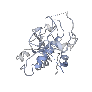 4975_6row_G_v1-1
Haemonchus galactose containing glycoprotein complex