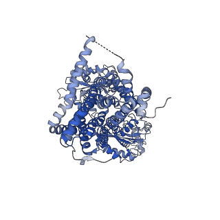 24616_7rpj_A_v1-2
Cryo-EM structure of murine Dispatched NNN mutant