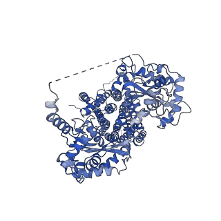 24617_7rpk_A_v1-3
Cryo-EM structure of murine Dispatched in complex with Sonic hedgehog