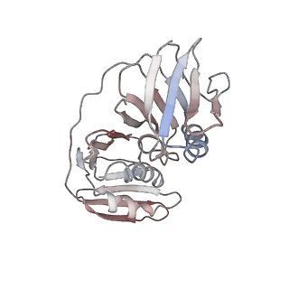 24625_7rpx_B_v1-2
Archaeal DNA ligase and heterotrimeric PCNA in complex with end-joined DNA