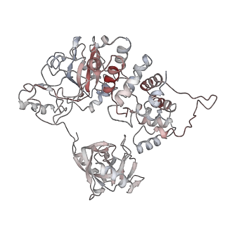 24625_7rpx_E_v1-2
Archaeal DNA ligase and heterotrimeric PCNA in complex with end-joined DNA