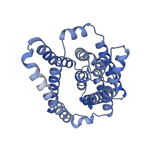 19440_8rqf_A_v1-0
Cryo-EM structure of human NTCP-Bulevirtide complex