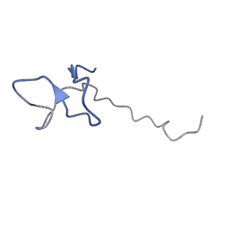 19440_8rqf_B_v1-0
Cryo-EM structure of human NTCP-Bulevirtide complex