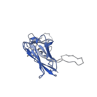 19440_8rqf_H_v1-0
Cryo-EM structure of human NTCP-Bulevirtide complex