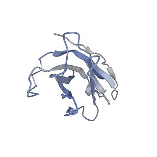 19440_8rqf_K_v1-0
Cryo-EM structure of human NTCP-Bulevirtide complex