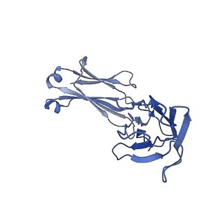 19440_8rqf_L_v1-0
Cryo-EM structure of human NTCP-Bulevirtide complex