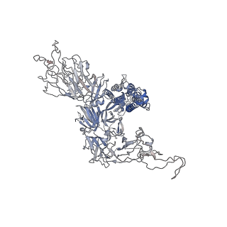 24628_7rq6_A_v1-2
Cryo-EM structure of SARS-CoV-2 spike in complex with non-neutralizing NTD-directed CV3-13 Fab isolated from convalescent individual