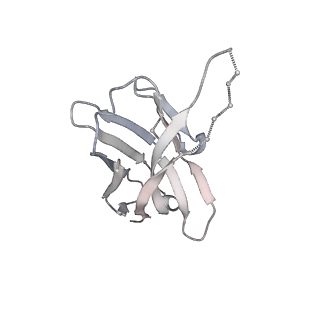 24628_7rq6_D_v1-2
Cryo-EM structure of SARS-CoV-2 spike in complex with non-neutralizing NTD-directed CV3-13 Fab isolated from convalescent individual