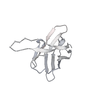 24628_7rq6_J_v1-2
Cryo-EM structure of SARS-CoV-2 spike in complex with non-neutralizing NTD-directed CV3-13 Fab isolated from convalescent individual