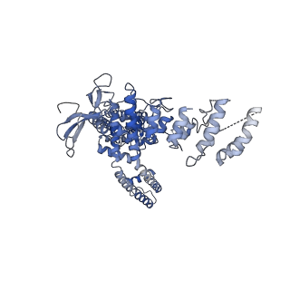 24636_7rqu_D_v1-0
Cryo-EM structure of the full-length TRPV1 with RTx at 4 degrees Celsius, in a closed state, class I