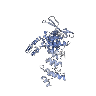 24637_7rqv_A_v1-0
Cryo-EM structure of the full-length TRPV1 with RTx at 4 degrees Celsius, in an intermediate-closed state, class II