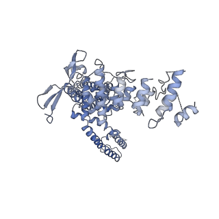 24637_7rqv_D_v1-0
Cryo-EM structure of the full-length TRPV1 with RTx at 4 degrees Celsius, in an intermediate-closed state, class II