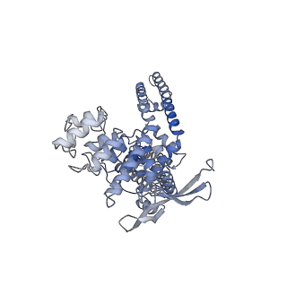 24638_7rqw_A_v1-0
Cryo-EM structure of the full-length TRPV1 with RTx at 4 degrees Celsius, in an open state, class III