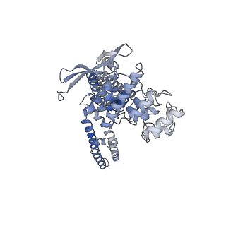 24638_7rqw_B_v1-0
Cryo-EM structure of the full-length TRPV1 with RTx at 4 degrees Celsius, in an open state, class III