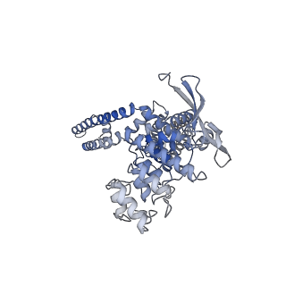 24638_7rqw_C_v1-0
Cryo-EM structure of the full-length TRPV1 with RTx at 4 degrees Celsius, in an open state, class III