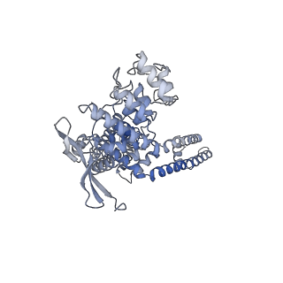 24638_7rqw_D_v1-0
Cryo-EM structure of the full-length TRPV1 with RTx at 4 degrees Celsius, in an open state, class III