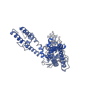 24639_7rqx_C_v1-0
Cryo-EM structure of the full-length TRPV1 with RTx at 25 degrees Celsius, in an intermediate-open state, class A