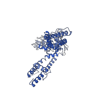 24639_7rqx_D_v1-0
Cryo-EM structure of the full-length TRPV1 with RTx at 25 degrees Celsius, in an intermediate-open state, class A