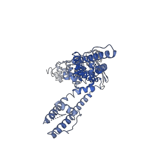 24640_7rqy_A_v1-0
Cryo-EM structure of the full-length TRPV1 with RTx at 25 degrees Celsius, in an open state, class B