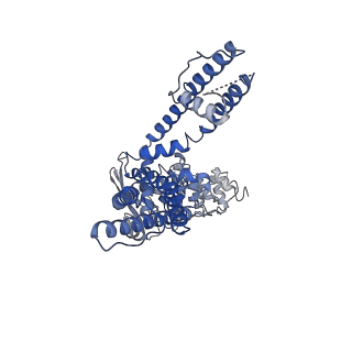 24640_7rqy_B_v1-0
Cryo-EM structure of the full-length TRPV1 with RTx at 25 degrees Celsius, in an open state, class B