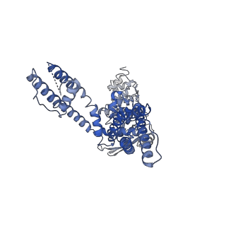 24640_7rqy_C_v1-0
Cryo-EM structure of the full-length TRPV1 with RTx at 25 degrees Celsius, in an open state, class B