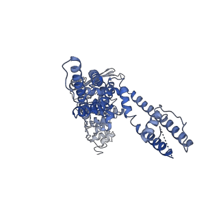24640_7rqy_D_v1-0
Cryo-EM structure of the full-length TRPV1 with RTx at 25 degrees Celsius, in an open state, class B