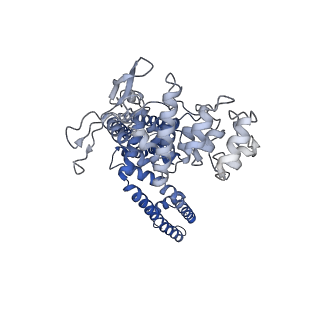 24641_7rqz_A_v1-0
Cryo-EM structure of the full-length TRPV1 with RTx at 48 degrees Celsius, in an open state, class alpha
