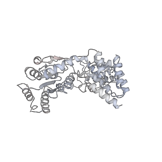 4980_6rqc_D_v1-2
Cryo-EM structure of an MCM loading intermediate