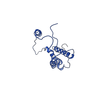 4981_6rqf_B_v1-3
3.6 Angstrom cryo-EM structure of the dimeric cytochrome b6f complex from Spinacia oleracea with natively bound thylakoid lipids and plastoquinone molecules