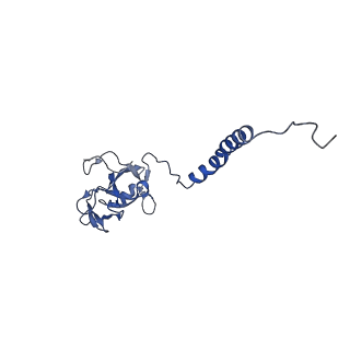 4981_6rqf_D_v1-3
3.6 Angstrom cryo-EM structure of the dimeric cytochrome b6f complex from Spinacia oleracea with natively bound thylakoid lipids and plastoquinone molecules