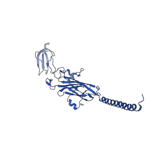 4981_6rqf_K_v1-3
3.6 Angstrom cryo-EM structure of the dimeric cytochrome b6f complex from Spinacia oleracea with natively bound thylakoid lipids and plastoquinone molecules