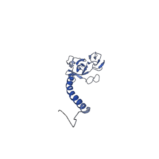 4981_6rqf_L_v1-3
3.6 Angstrom cryo-EM structure of the dimeric cytochrome b6f complex from Spinacia oleracea with natively bound thylakoid lipids and plastoquinone molecules