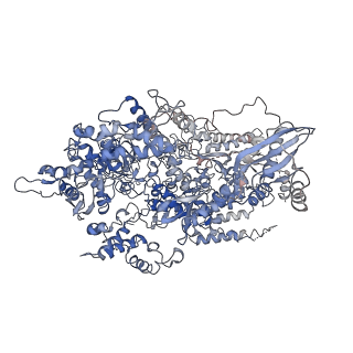 4982_6rqh_A_v1-1
RNA Polymerase I Closed Conformation 1 (CC1)