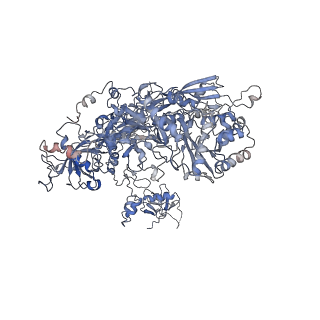 4982_6rqh_B_v1-1
RNA Polymerase I Closed Conformation 1 (CC1)