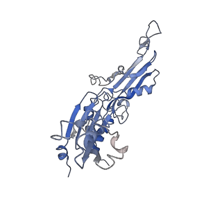 4982_6rqh_C_v1-1
RNA Polymerase I Closed Conformation 1 (CC1)