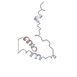 4982_6rqh_D_v1-1
RNA Polymerase I Closed Conformation 1 (CC1)