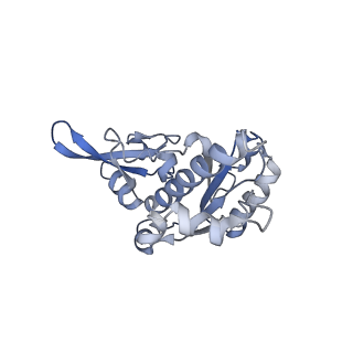 4982_6rqh_E_v1-1
RNA Polymerase I Closed Conformation 1 (CC1)